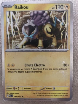 Carte Raikou 048/132