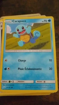 Carapuce rare