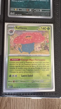 Rafflesia 045/165