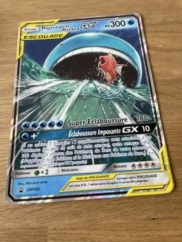 Carte jambo Waylord et Magicarpe