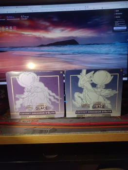 Pokémon coffret dresseur d'élite etb règne de glace