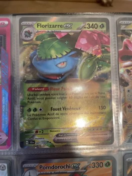 carte neuve florizarre