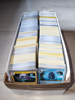 100 cartes Pokémon FR