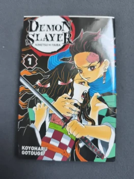 Demon slayer