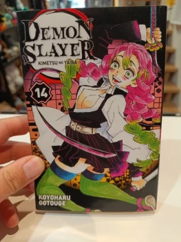 Demon Slayer tome 14