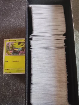 100 commune Pokémon