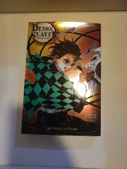 Demon slayer collector 23