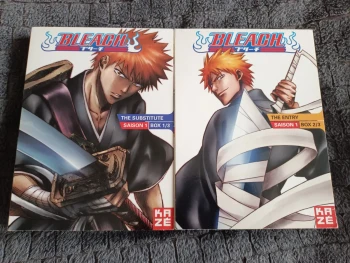 Coffret DVD bleach