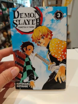 Demon Slayer tome 3
