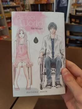 Perfect world tome 1