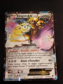 Exagide Ex série 65/119