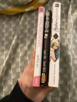 Lot de 3 mangas