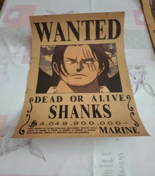 Avis de recherche one piece