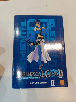 Elemental Gerad Flag of Bluesky tome 2