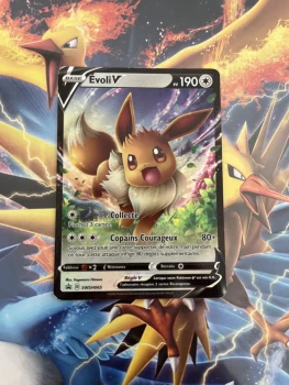 Cartes Pokémon Évoli V