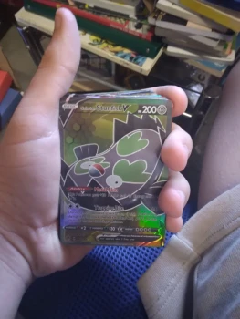 Carte pokemon