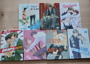 Lot de yaoi