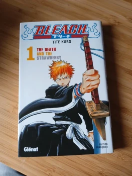 Bleach tome 1