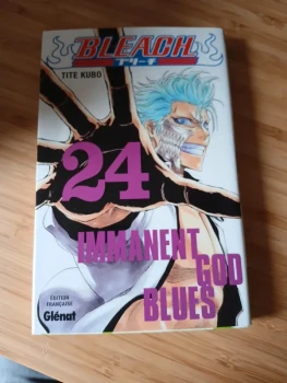 Bleach tome 24