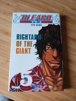 Bleach tome 5