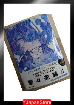 Bungo stray dogs - Beast Vol 4