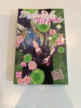 Mademoiselle se marie tome 4