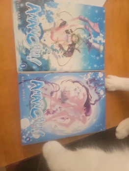 Manga amanchu!
