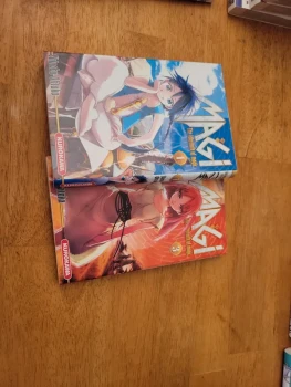 Manga magi