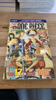 One pièce log 17