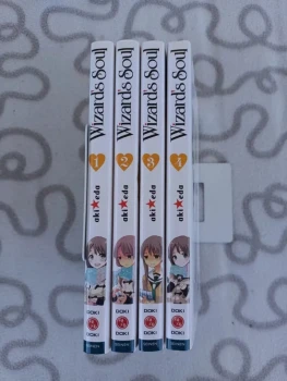 Wizard's soul - Tome 1 à 4