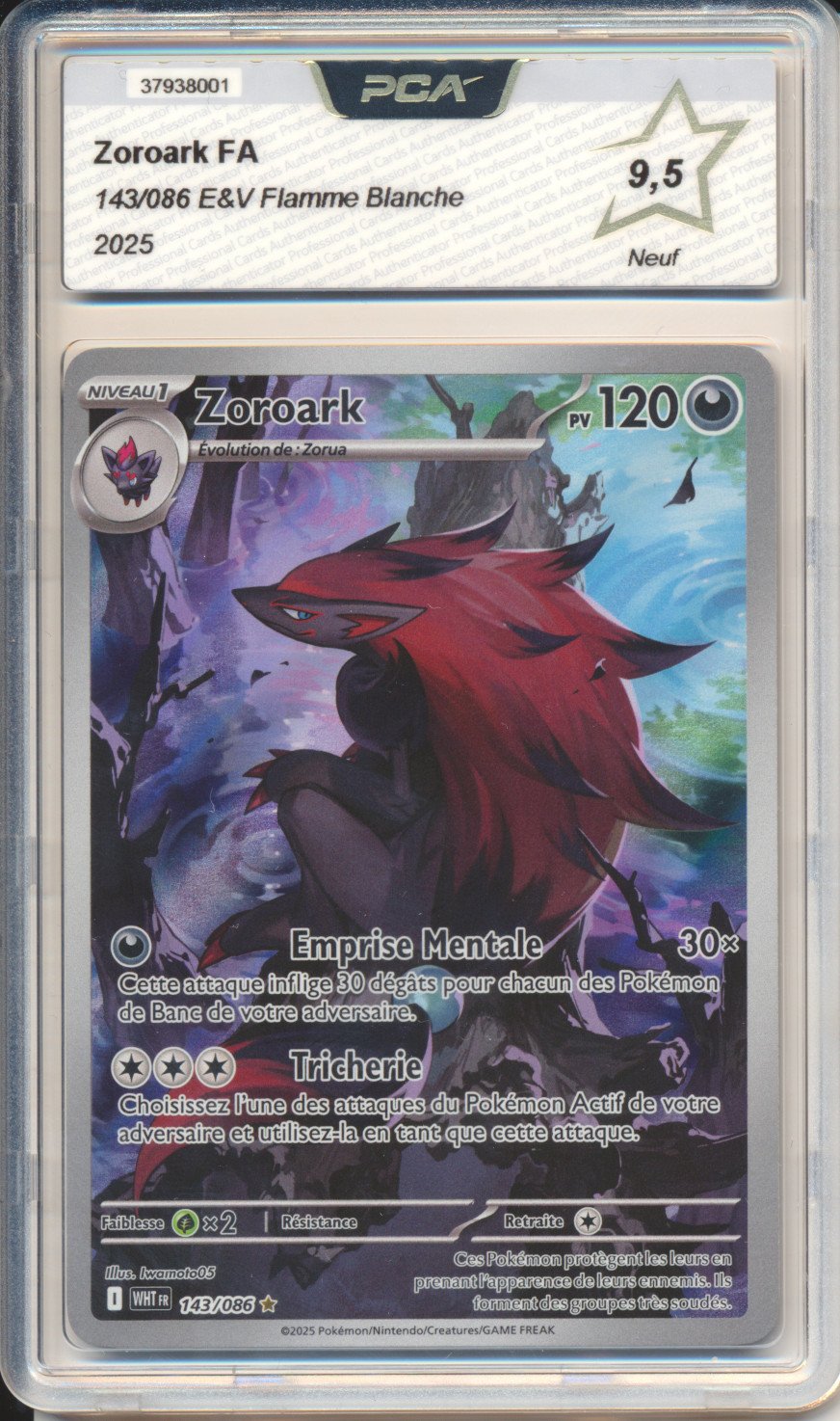 Zoroark