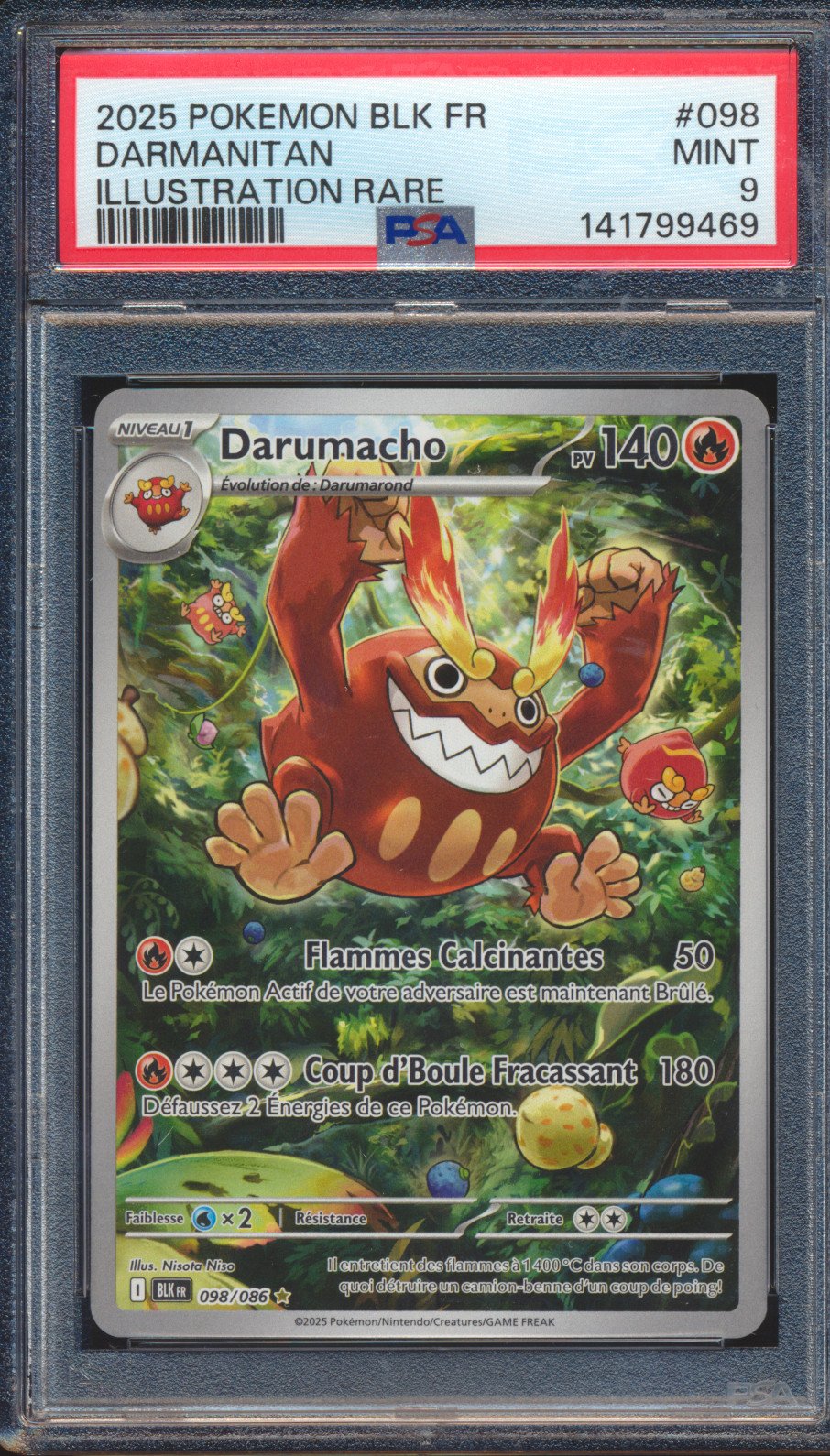 Darumacho
