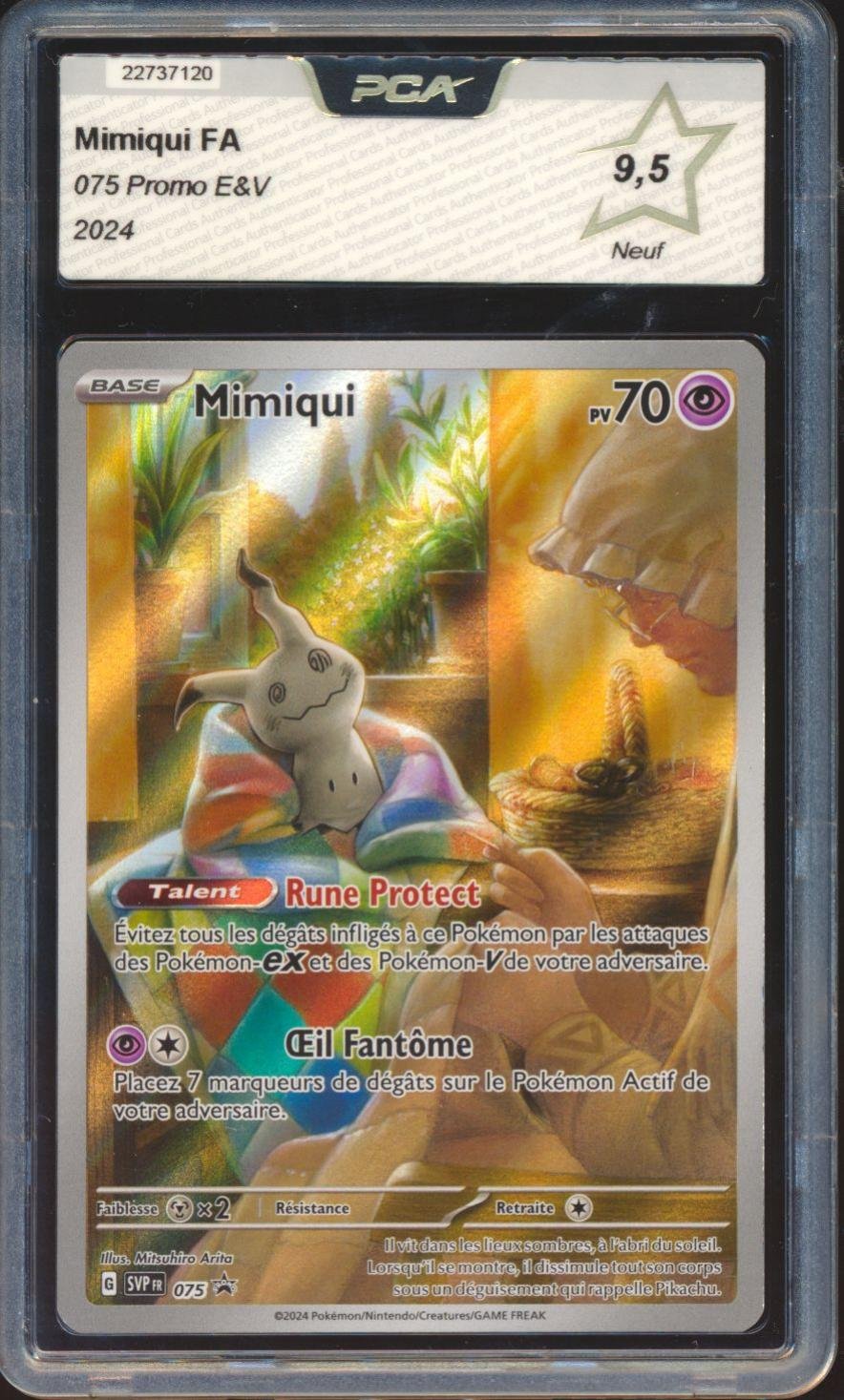 Mimiqui