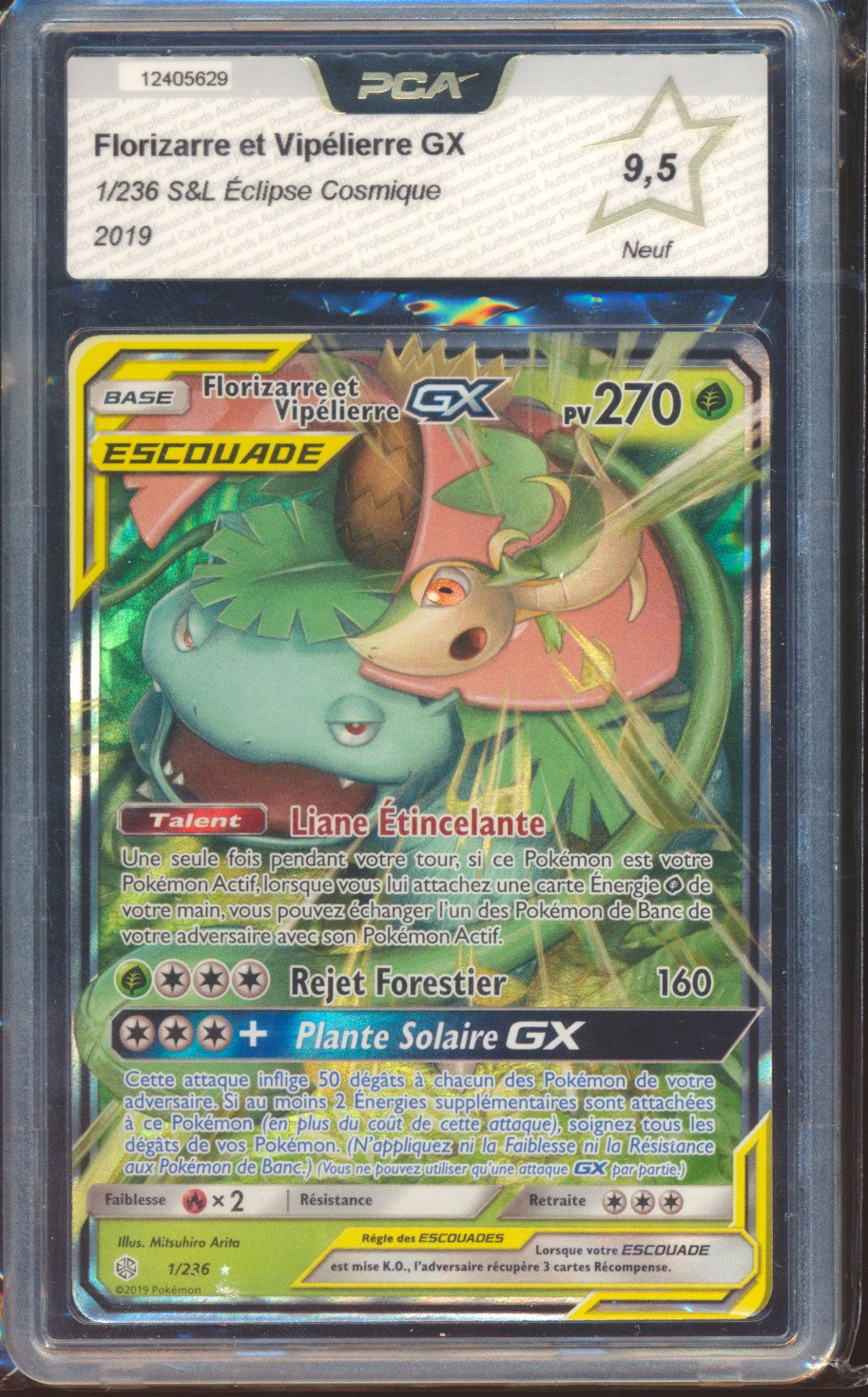Florizarre & Vipélierre GX