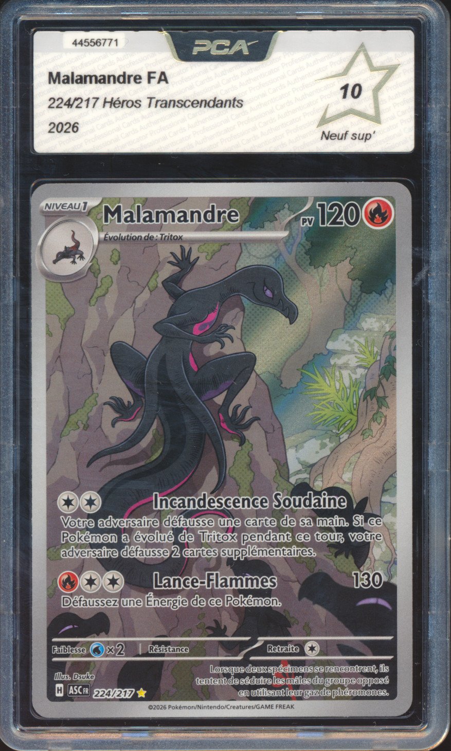 Malamandre