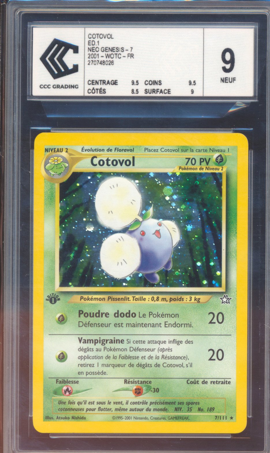 Cotovol Edition 1