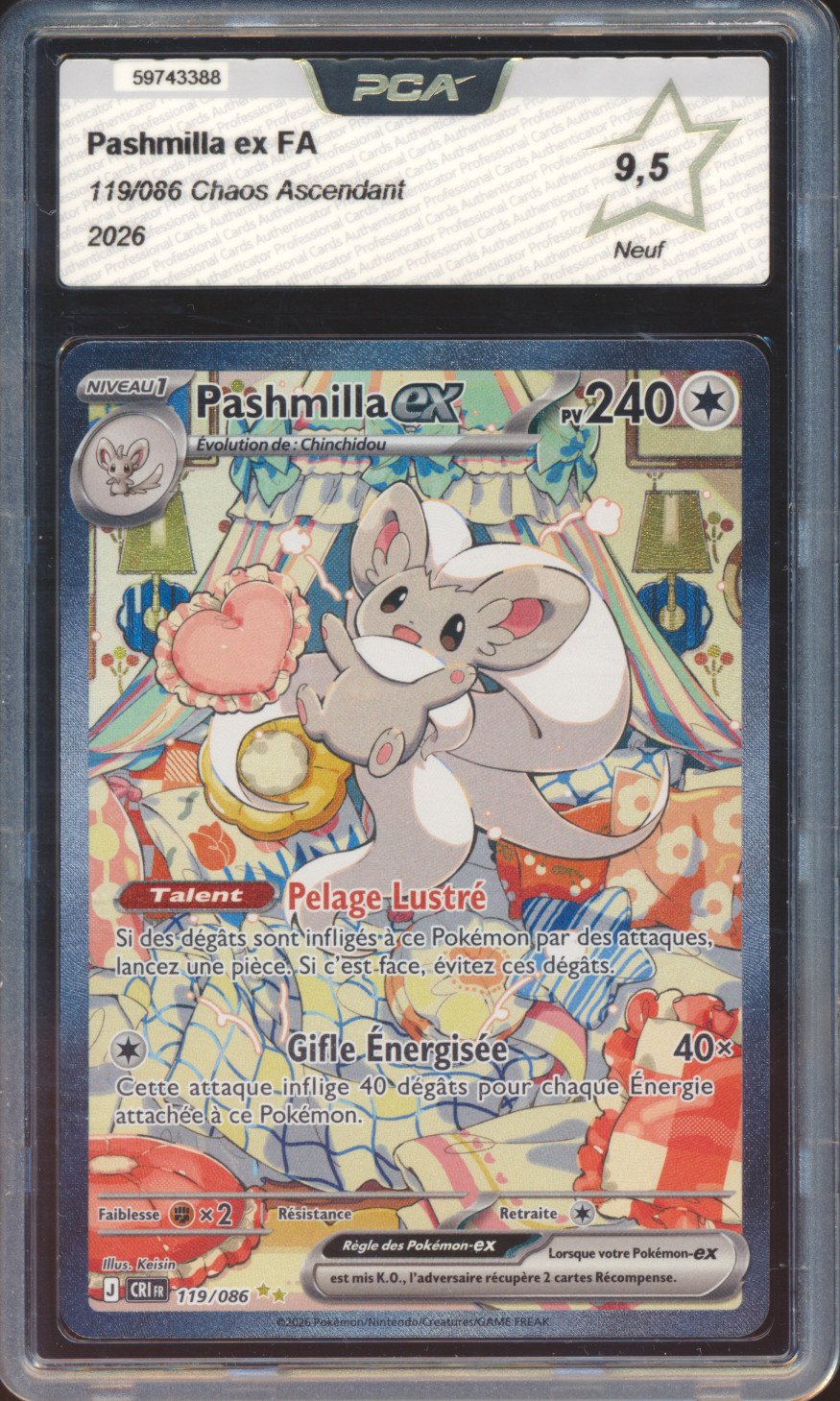 Pashmilla ex