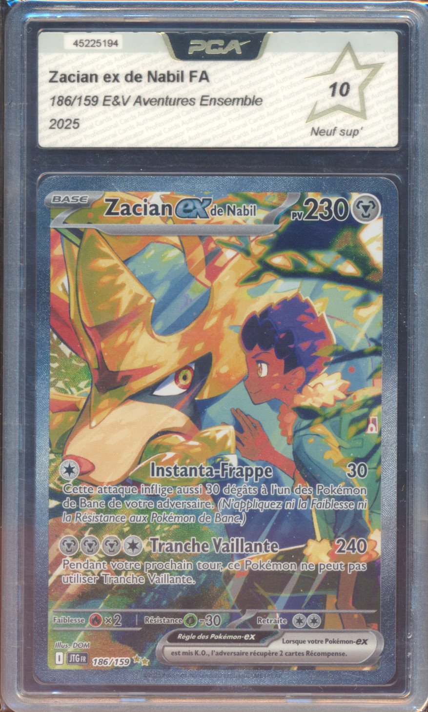 Zacian EX de Nabil