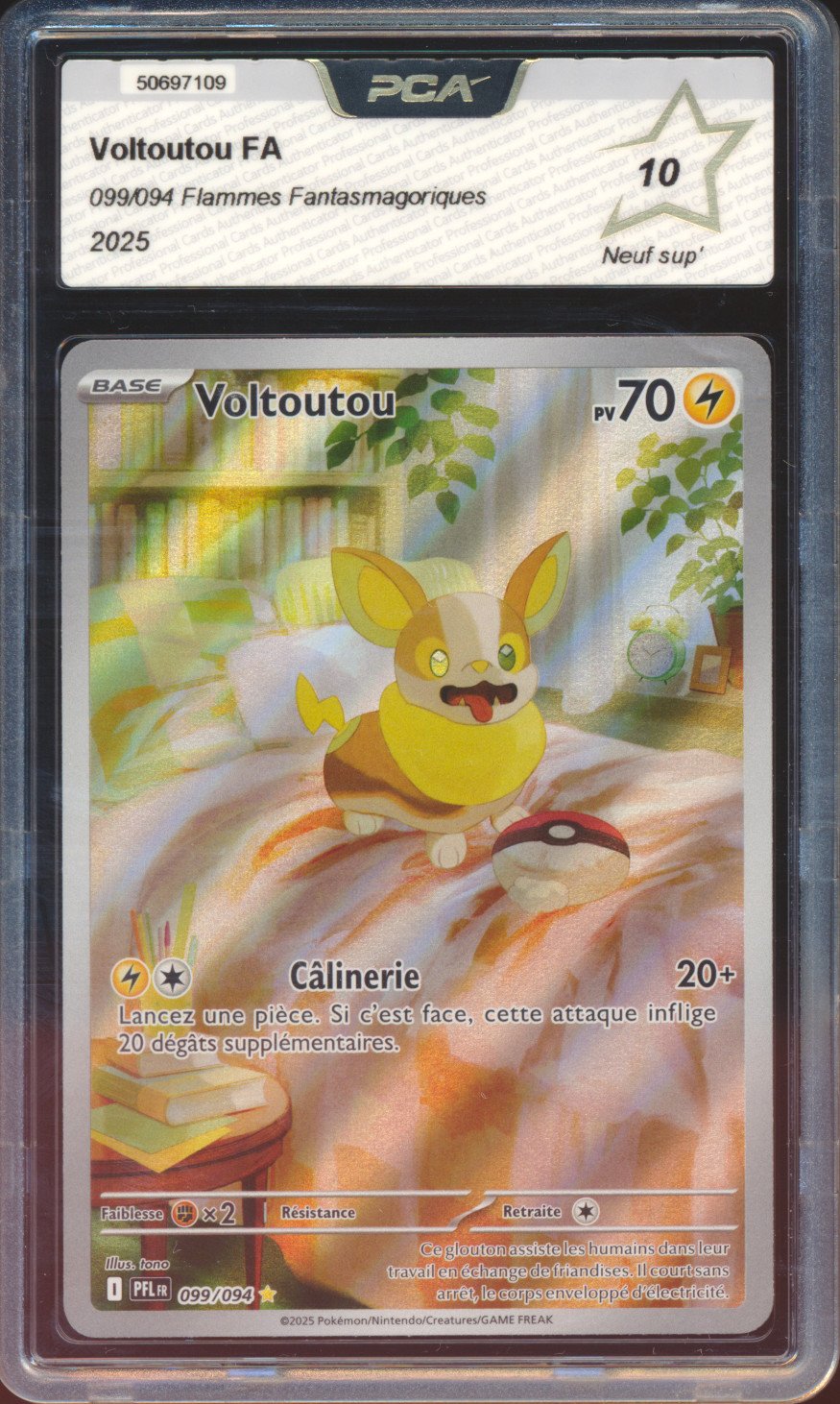 Voltoutou