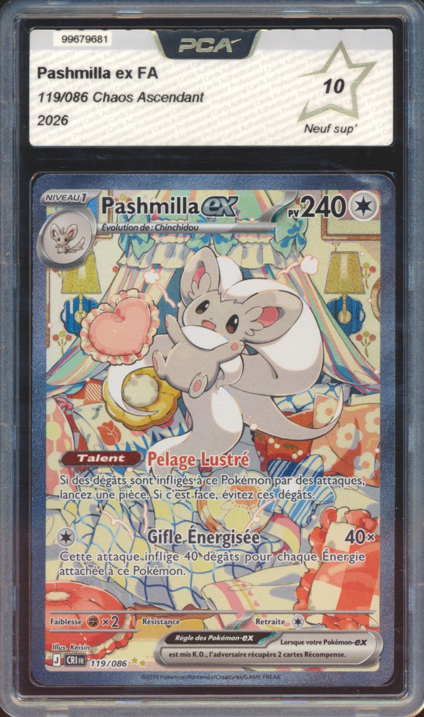 Pashmilla ex