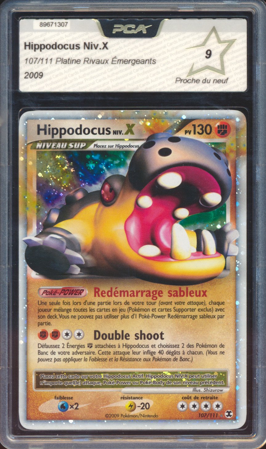 Hippodocus Niv. X