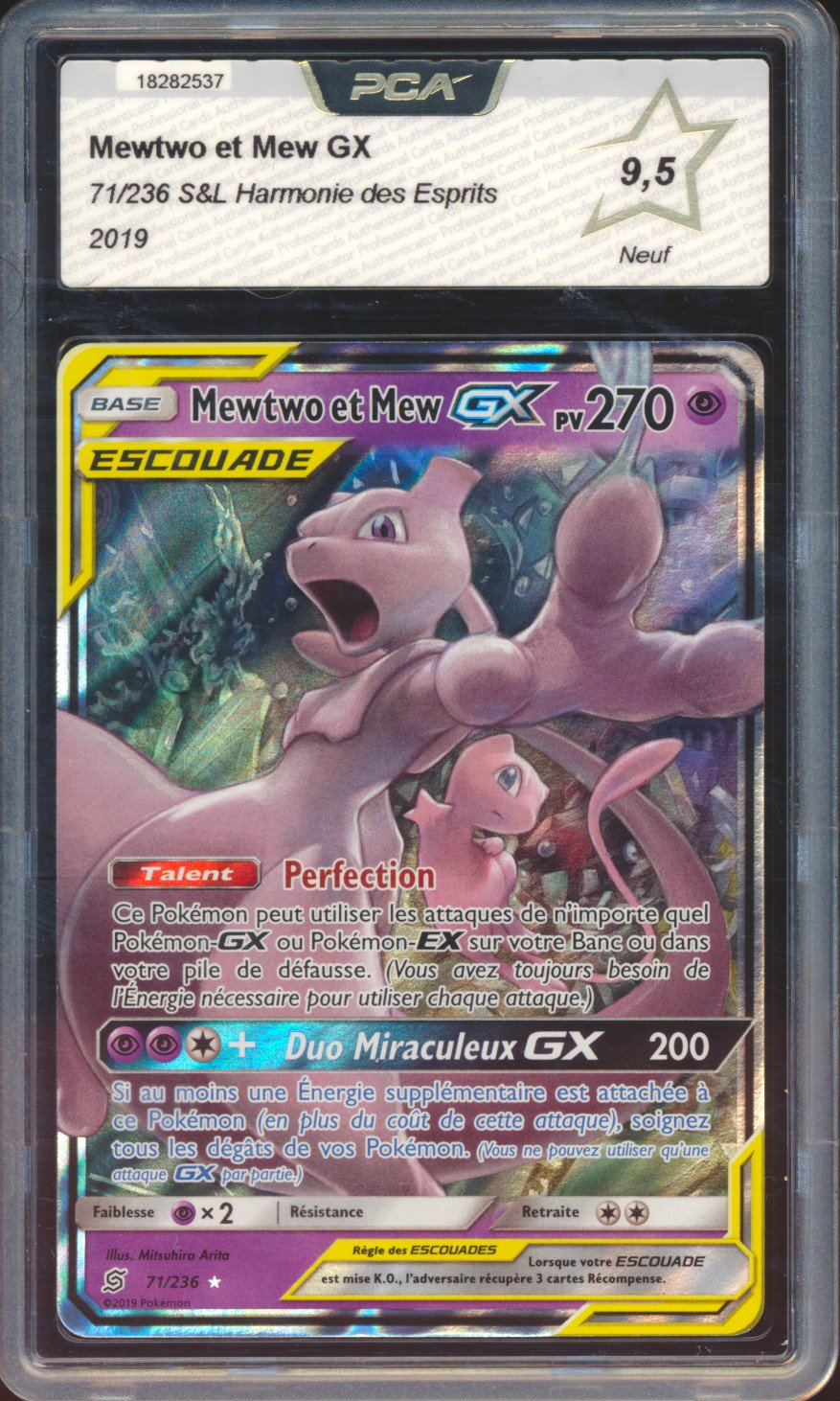 Mewtwo & Mew