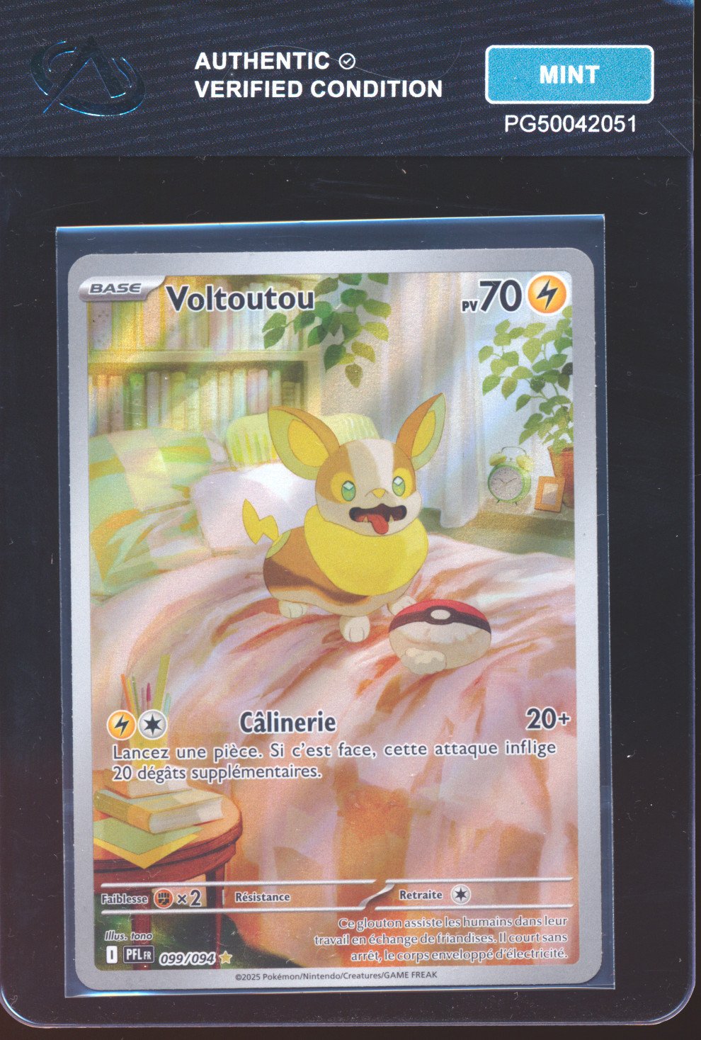 Voltoutou