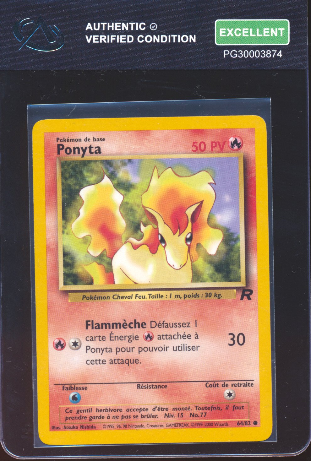 Ponyta