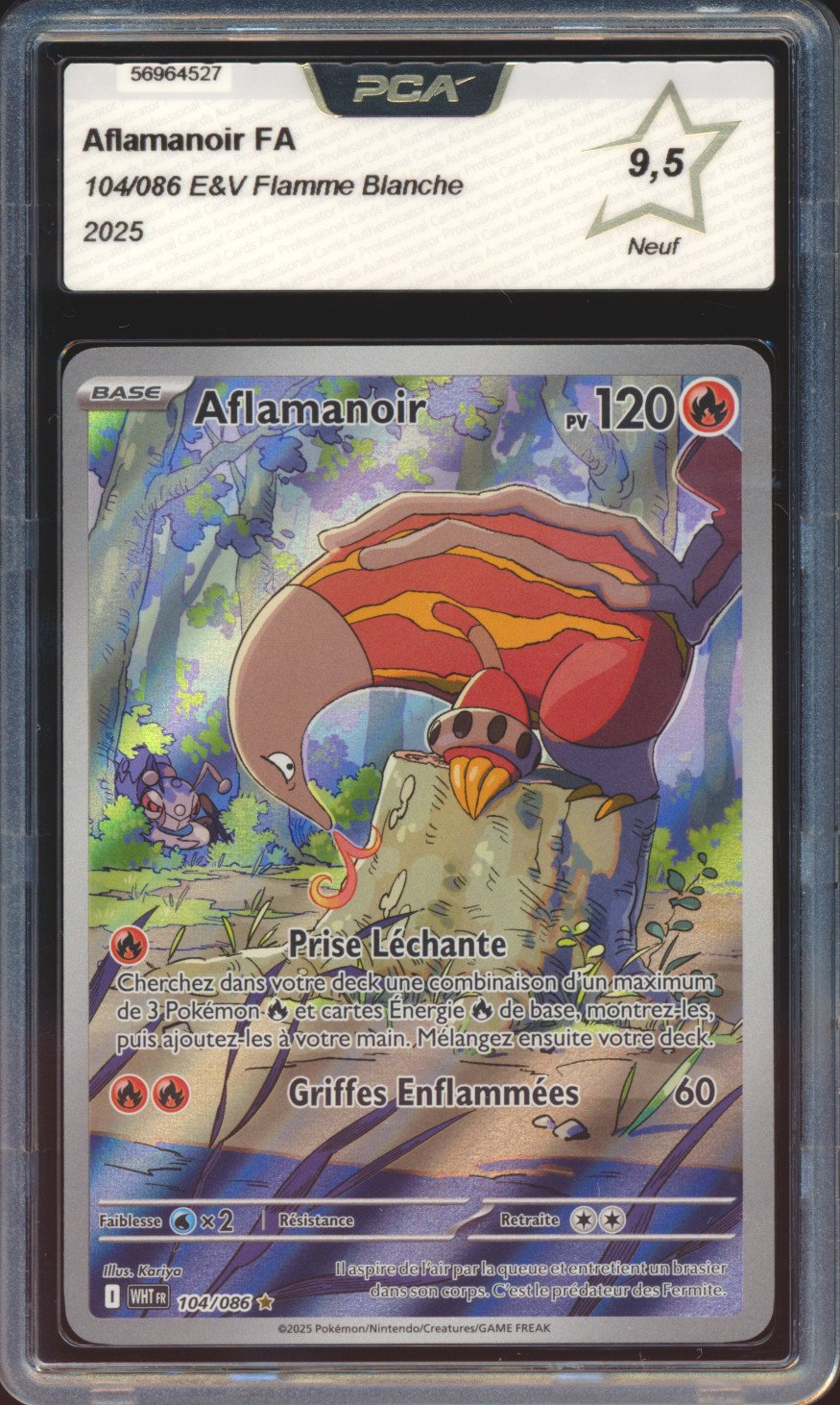 Aflamanoir