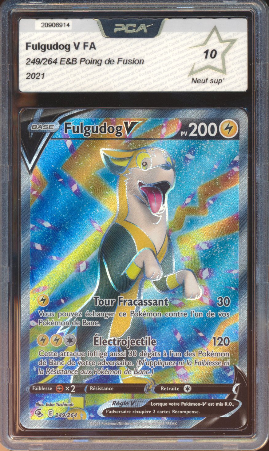 Fulgudog V