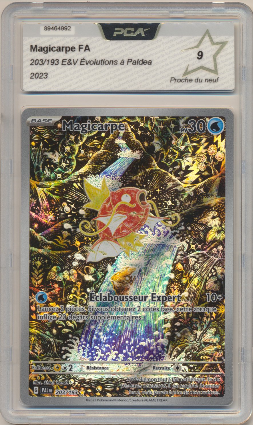 Magicarpe FA