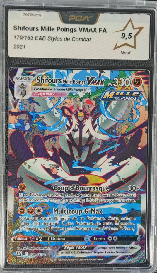 Shifours Mille Poings VMAX