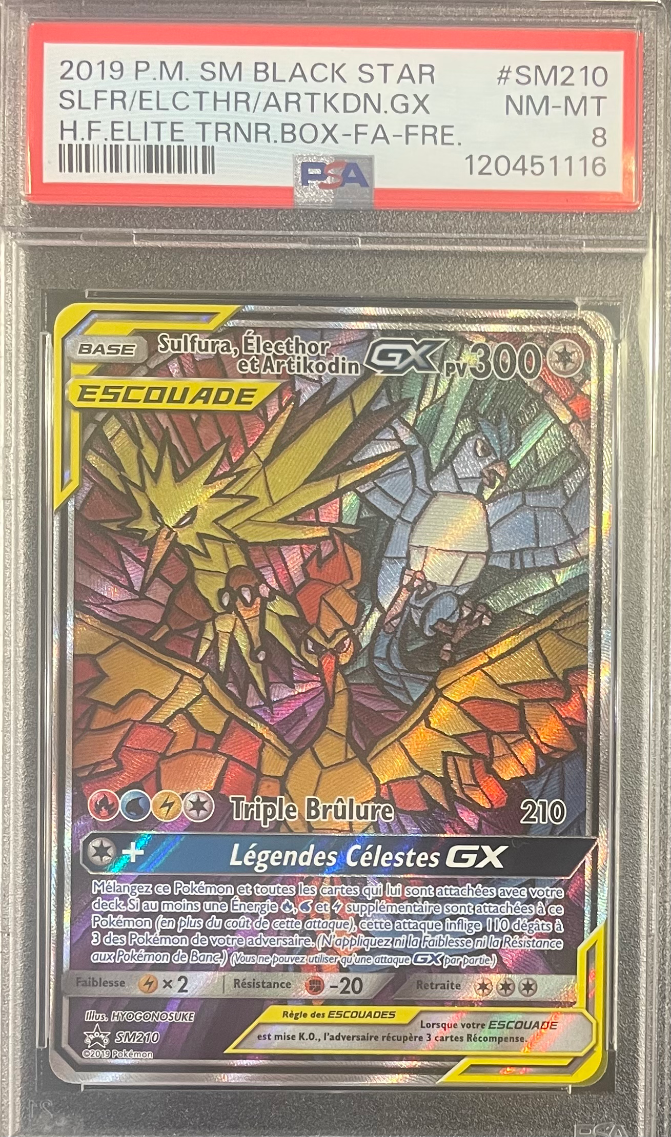 Sulfura, Electhor et Artikodin GX
