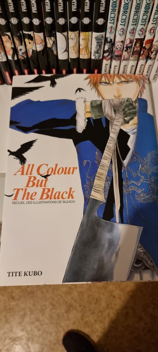 Artbook Bleach